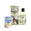 Toiletries_Cat_Header.jpg
