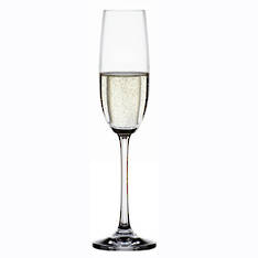 Cremona Champagne Glass Set of 4