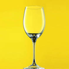 DiVino White Wine Glass Set of 6