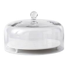 Tea Story Glass Cake Dome