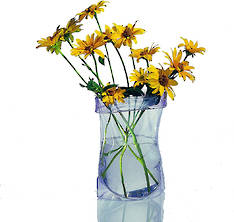 Le Sack Vase Clear