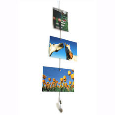 Steely Dan Photo Holder Steel