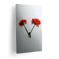 Reflecting Wall Vase