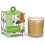 Palm Paradise Soy Wax Candle