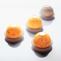 Bernardaud Lithophanies