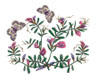 28_Common_Vetch.JPG